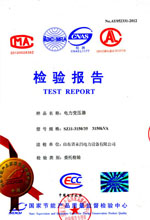 通化电力变压器检测报告